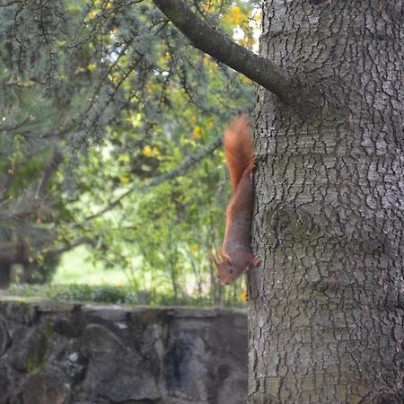 Chomérac Domaine Insolite Du Petit Moras المظهر الخارجي الصورة