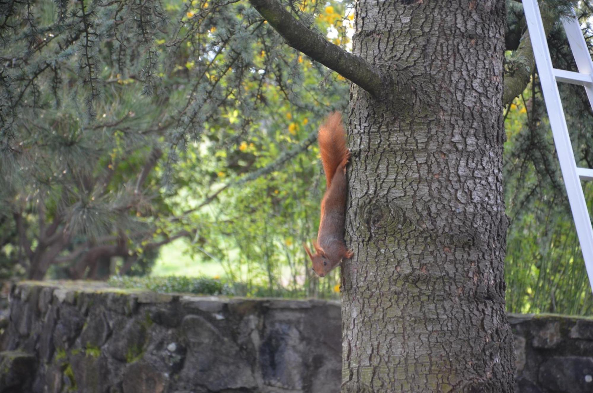 Chomérac Domaine Insolite Du Petit Moras المظهر الخارجي الصورة